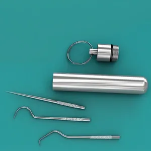 Portable 304 stainless steel toothpick set with metal storage case and keychain