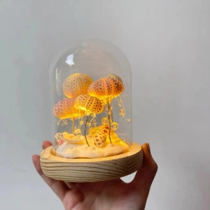 Handheld warm LED sea urchin shell night light in glass dome with wood base