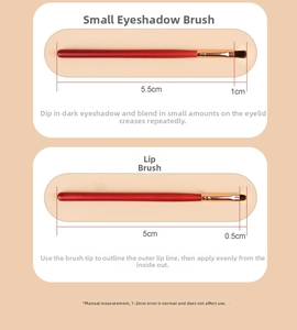 Detailed view of small eyeshadow brush and lip brush with red handle and gold metal ferrule