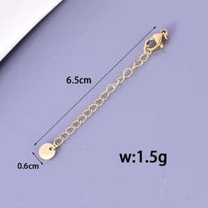Detail of 6.5cm gold stainless steel extender chain with lobster clasp and round tag