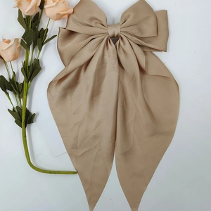 Vue détaillée du nœud papillon en satin champagne avec de longs rubans élégants