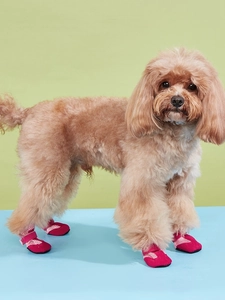 Macro shot of breathable rose pink mesh dog sandals with adjustable velcro straps on a poodle