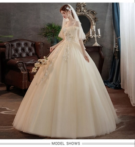 Detailansicht der Champagner-Hochzeitskleid mit 3D-Blumenstickerei und Pailletten