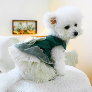 Detailed view of dark green pet dress with white bow and multi-layer lace tutu skirt