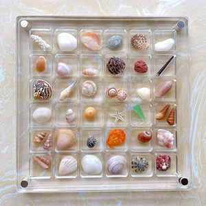 36-grid clear acrylic shell storage box for displaying colorful natural seashells and corals