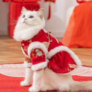 Chinese New Year cat dress in red chenille with embroidery and white fur trim