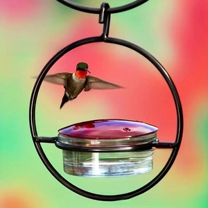 Detail of hanging metal hummingbird feeder with a bird in flight and clear reservoir