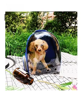Close-up of blue pet carrier with clear bubble window showing a dog on a lawn