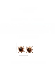 Macro detail of round tiger eye stud earrings with 18k gold plating and zircon star rays
