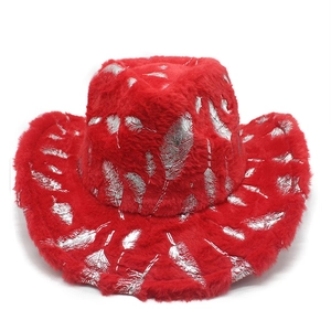 Detail of red plush cowboy hat featuring silver feather prints for Christmas holidays
