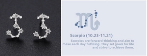 Detail of S925 silver Scorpio zodiac stud earrings with sparkling white cubic zirconia stones