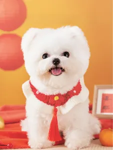 Détail d'un collier en tricot rouge et blanc pour animaux avec pompon et perles