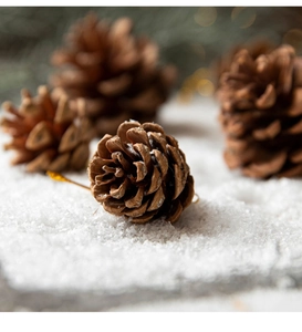 Macro shot of natural brown pine cone ornament on a snowy surface for Christmas decor