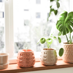 Moldes creativos de silicona con textura de corazón para macetas y velas aromáticas