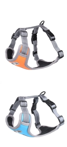 Close-up of reflective mesh dog harness with adjustable nylon straps and buckle