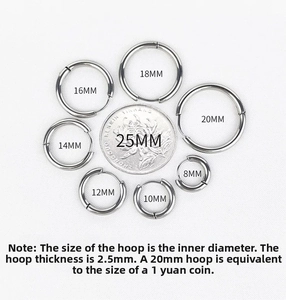 Titanium steel hoop earrings in various sizes from 8mm to 20mm with coin reference