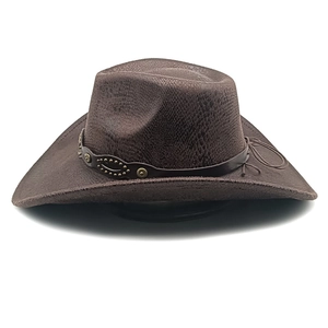 Detail of wide brim cowboy hat with snakeskin texture and studded leather band