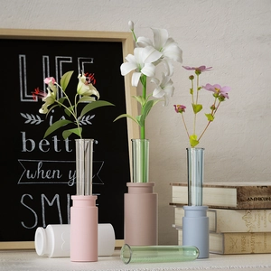 Close-up of modern minimalist test tube vases with matte round bases for home decor
