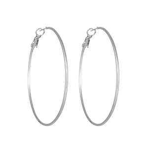 Detailed view of silver hoop earrings in polished stainless steel with classic hook closure