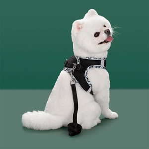 Detail of breathable black mesh pet harness with blue plaid trim and reflective straps