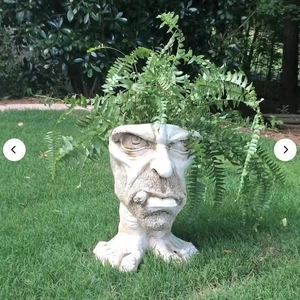 Funny Muggly face statue planter with cigar and lush fern plant on outdoor garden lawn