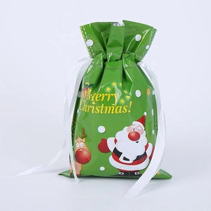 Detail of green Christmas gift bag with Santa and reindeer prints and white ribbon drawstring