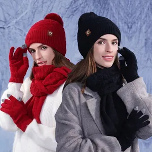 Bonnet En Acrylique Tricoté Écharpe Et Gants Tactiles Pompon Hiver Chaud Mode Extérieure Pour Femmes Doublure Épaisse