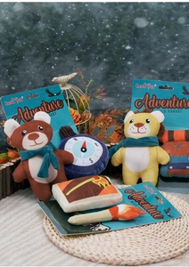 Plush pet squeaky toy set featuring adventure theme bear and lion shapes with RENA PET labels