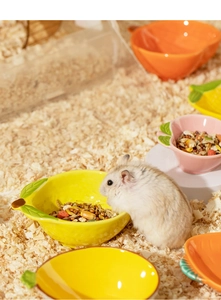 Cute hamster eating from a lemon-shaped ceramic bowl on natural wood shavings