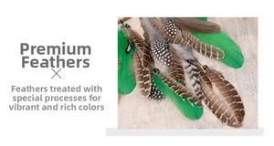 Macro detail of natural spotted feathers and green beads for dreamcatcher crafts