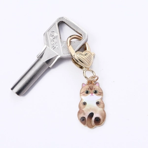 Brown tabby cat heart pendant keychain with golden lobster clasp and silver lock key