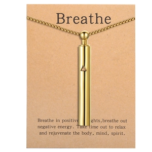 528Hz Mindfulness Meditation Whistle Necklace in Gold Titanium Steel for Breathing and Anxiety