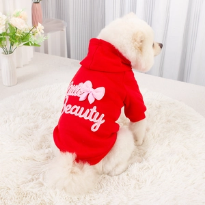 Red hooded dog sweatshirt with little beauty print on a white Pomeranian dog