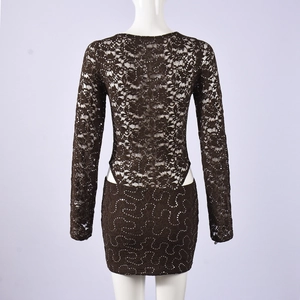 Rear view of brown sequin lace mini dress showing long sleeves and slim fit cut