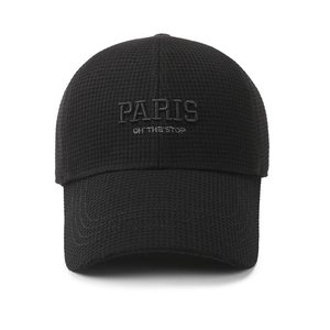 Winter black plaid baseball cap for men with ear flaps and Paris embroidery detail