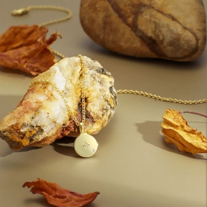 Minimalist gold coin necklace with crystal star pendant on a natural stone background