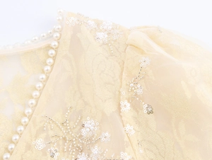 Macro detail of elegant champagne lace shirt with pearl trim and sequin flower embroidery