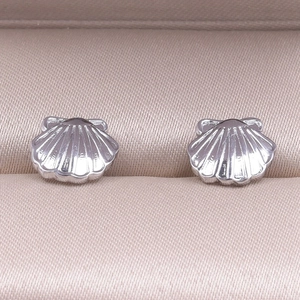 Macro detail of silver seashell stud earrings with realistic radial texture in jewelry box