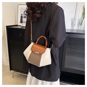 Close-up of color-block crossbody bag with cream and brown leather finish and gold hardware
