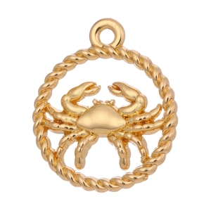 Detailed view of a golden metal crab pendant with a twisted rope circular frame