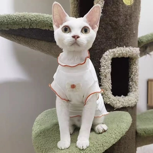 Close-up of white ribbed pet T-shirt with orange ruffle trim and lace bow on a cat