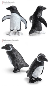 Detailed views of realistic Adelie and Galapagos penguin animal model figures