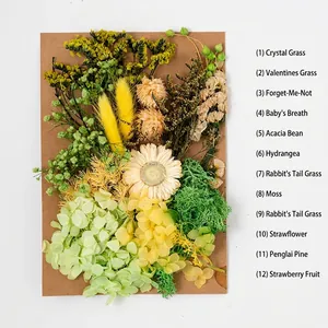 Flat lay of 12 varieties of preserved dried flowers and moss on brown kraft paper