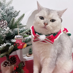 Detailed view of handmade Christmas pet knit collar with bowknot and pompon on a cat