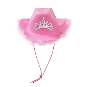 Pink western cowboy hat with fluffy feather trim and silver crown emblem on white backdrop