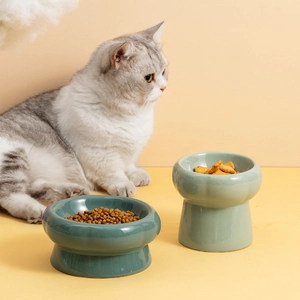 Elevated ceramic cat bowl set in teal and light green with anti-tip neck protection base