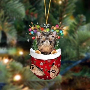 Detailaufnahme eines Yorkshire Terriers in einer Weihnachtssocke als Baumschmuck