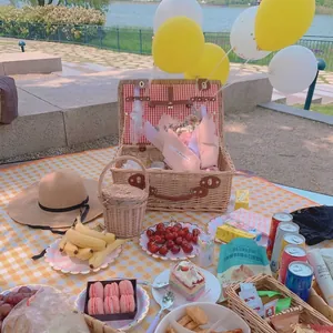 Cesto da picnic in vimini intrecciato a mano con fodera a quadri per alimenti all'aperto