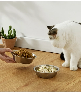 Close-up of hand holding a stainless steel pet bowl with food for a cat on wooden floor