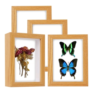 Modern hollow wood display frames for pressed flowers and butterfly specimens
